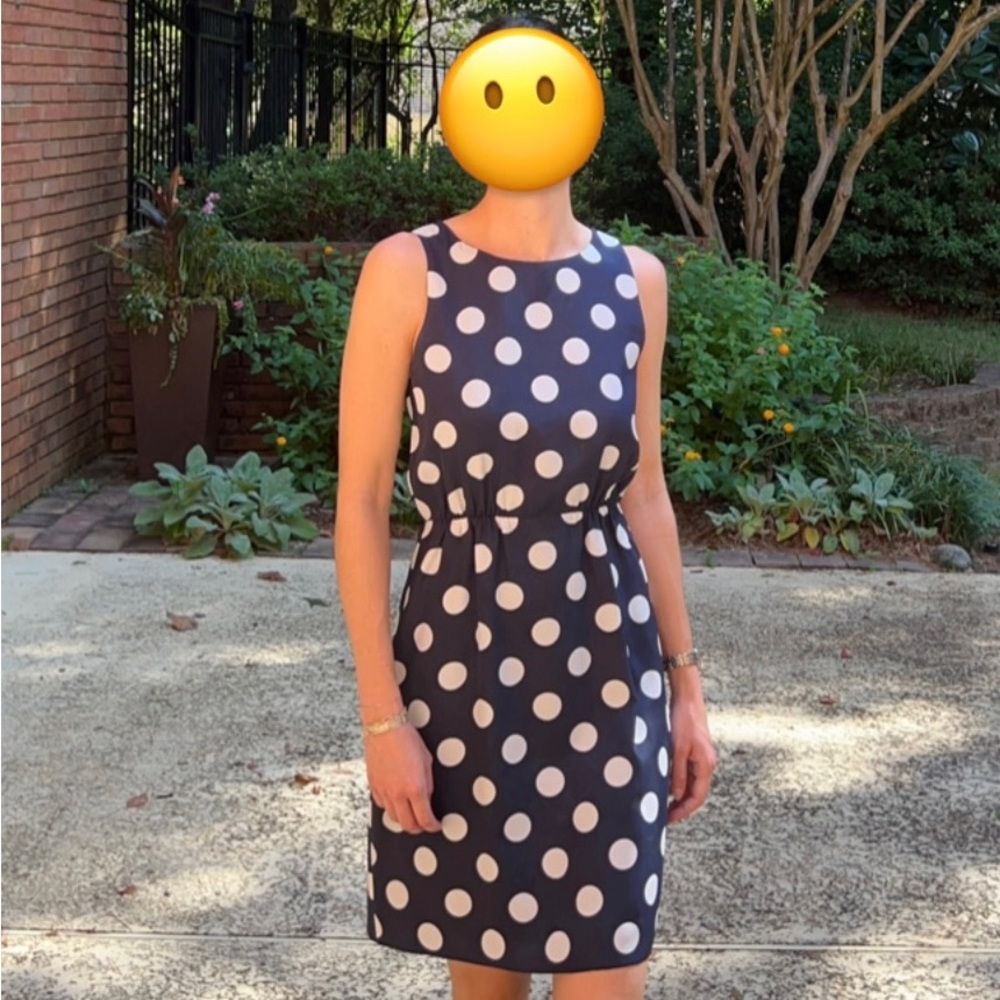 J. crew polka dot dress. Blue and white.